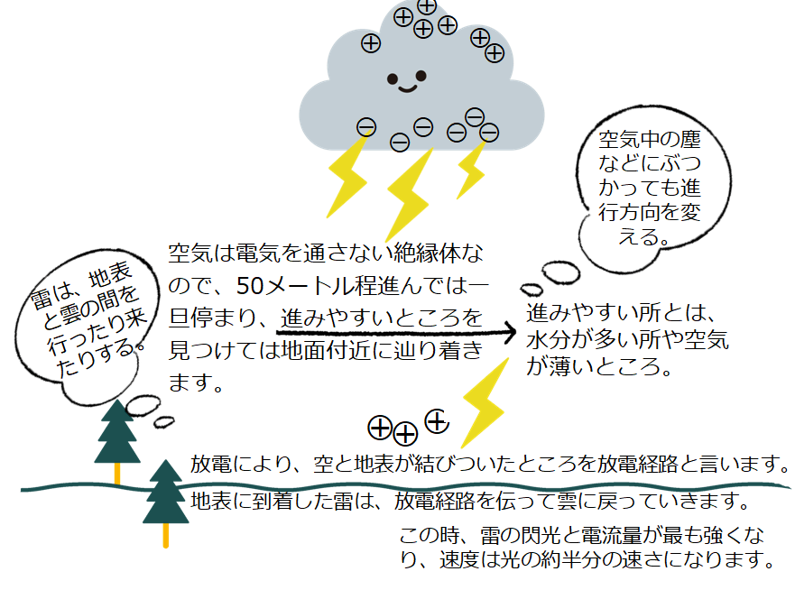 空気は電気を通さない絶縁体なので、50メートルほど進んでは一旦停まり、進みやすいところを見つけては地面付近に辿り着きます。
進みやすい所とは、水分が多い所や空気が薄いところ。
雷は、地表と雲の間を行ったり来たりする。
空気中の塵などにぶつかっても進行方向を変える。
放電により空と地表が結びついたところを放電経路と言います。地表に到着した雷は、放電経路を伝って雲に戻っていきます。この時、雷の閃光と電流量が最も強くなり、速度は光の約半分の速さになります。