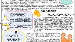 【東伸NEWS】2025年12月号